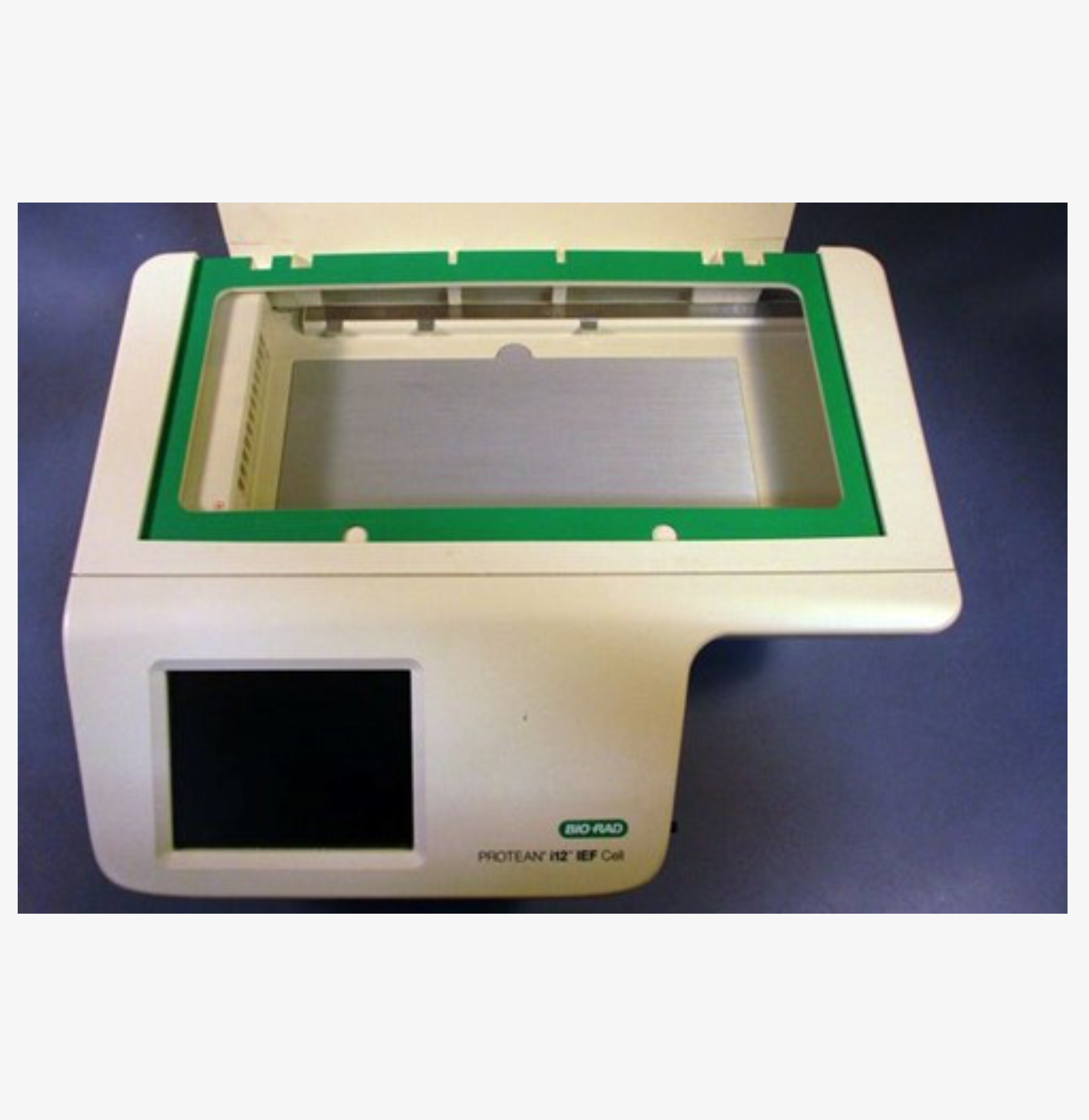 Bio-Rad PROTEAN i12