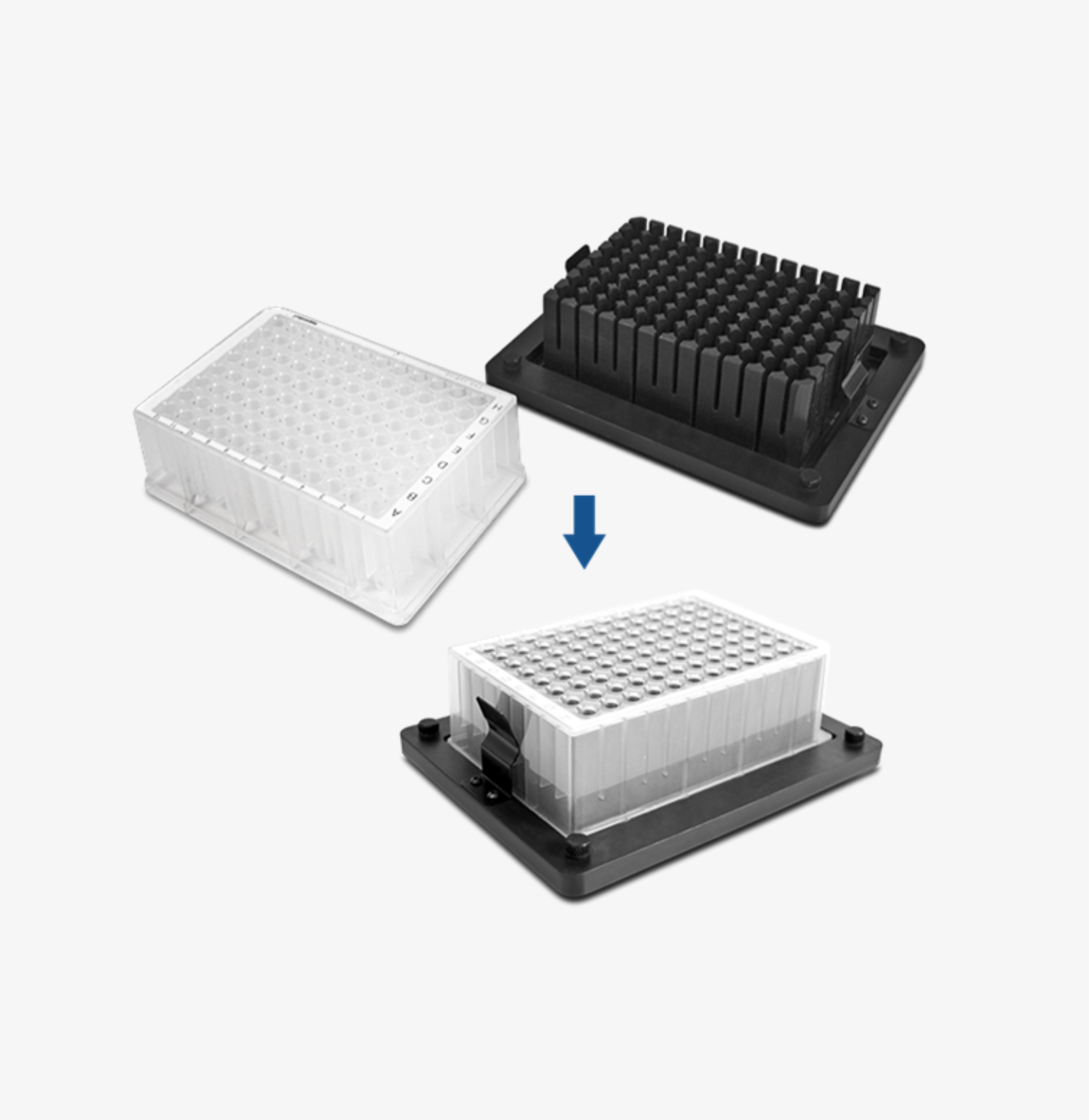 BioSan DW-TS