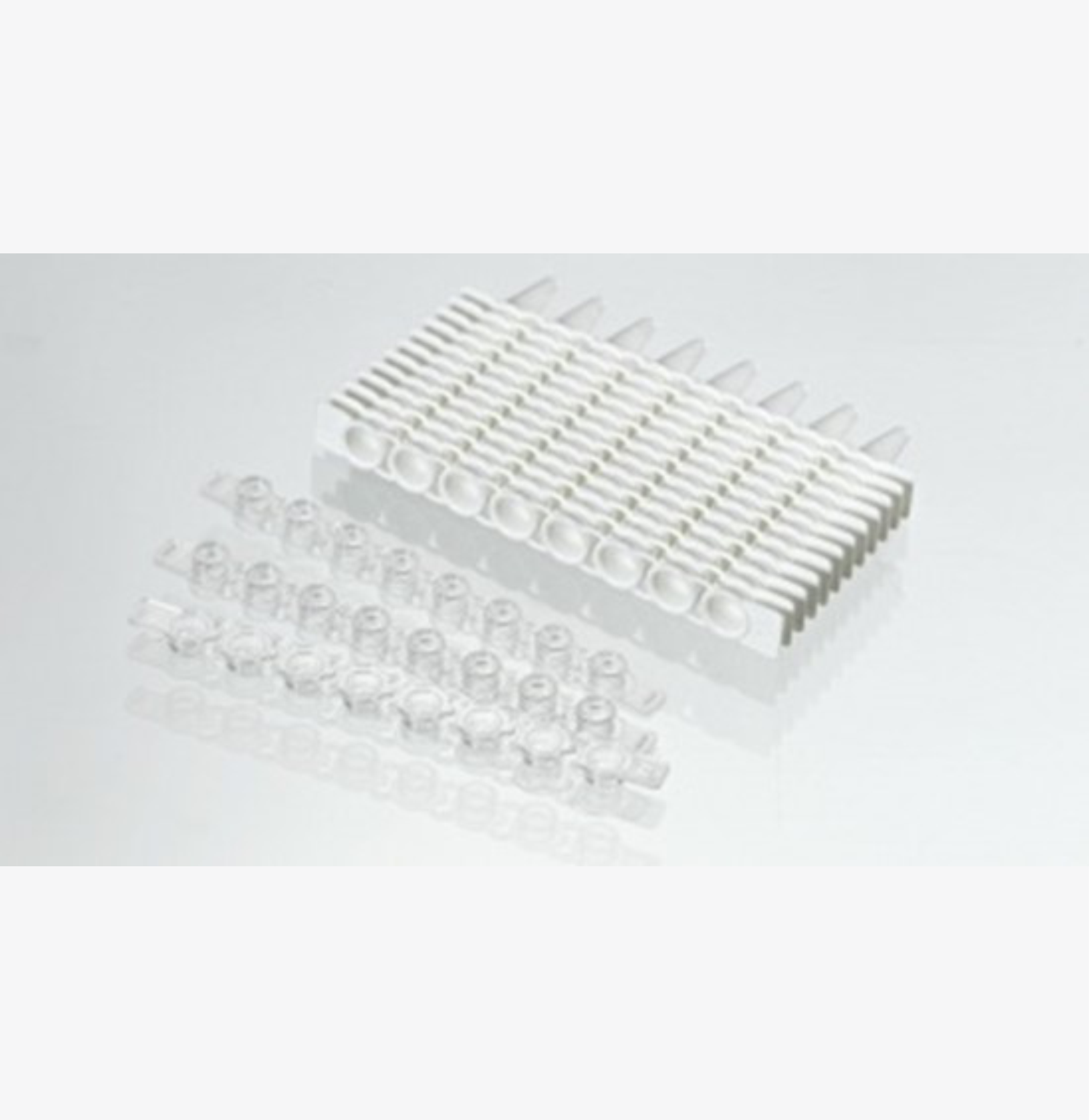 Roche LightCycler 96