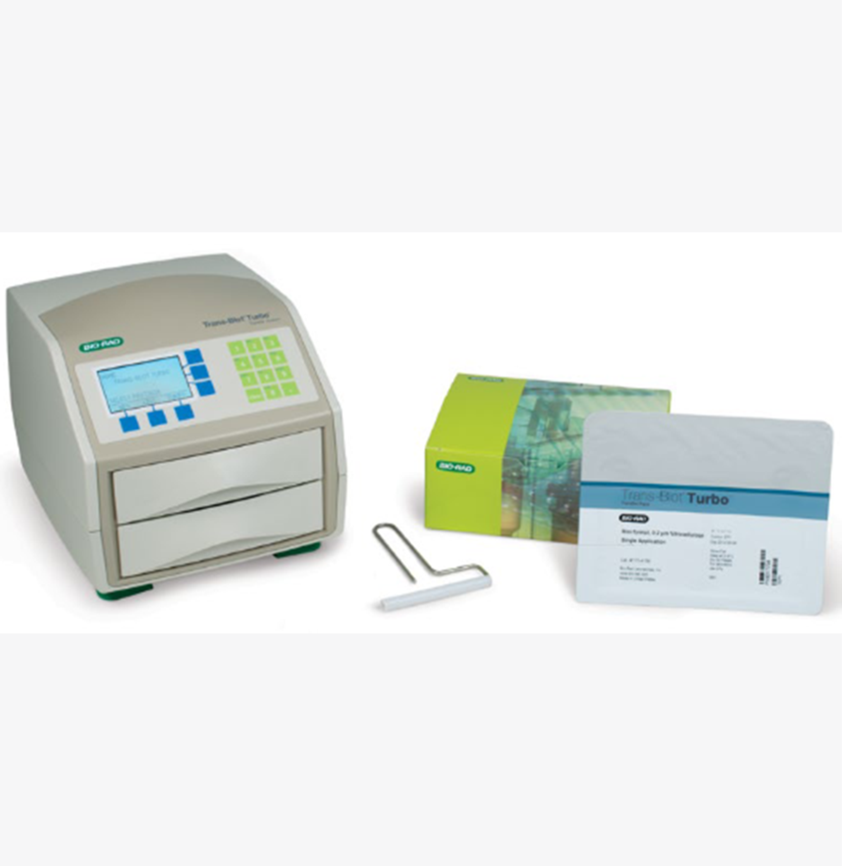 Bio-Rad Trans-Blot Turbo