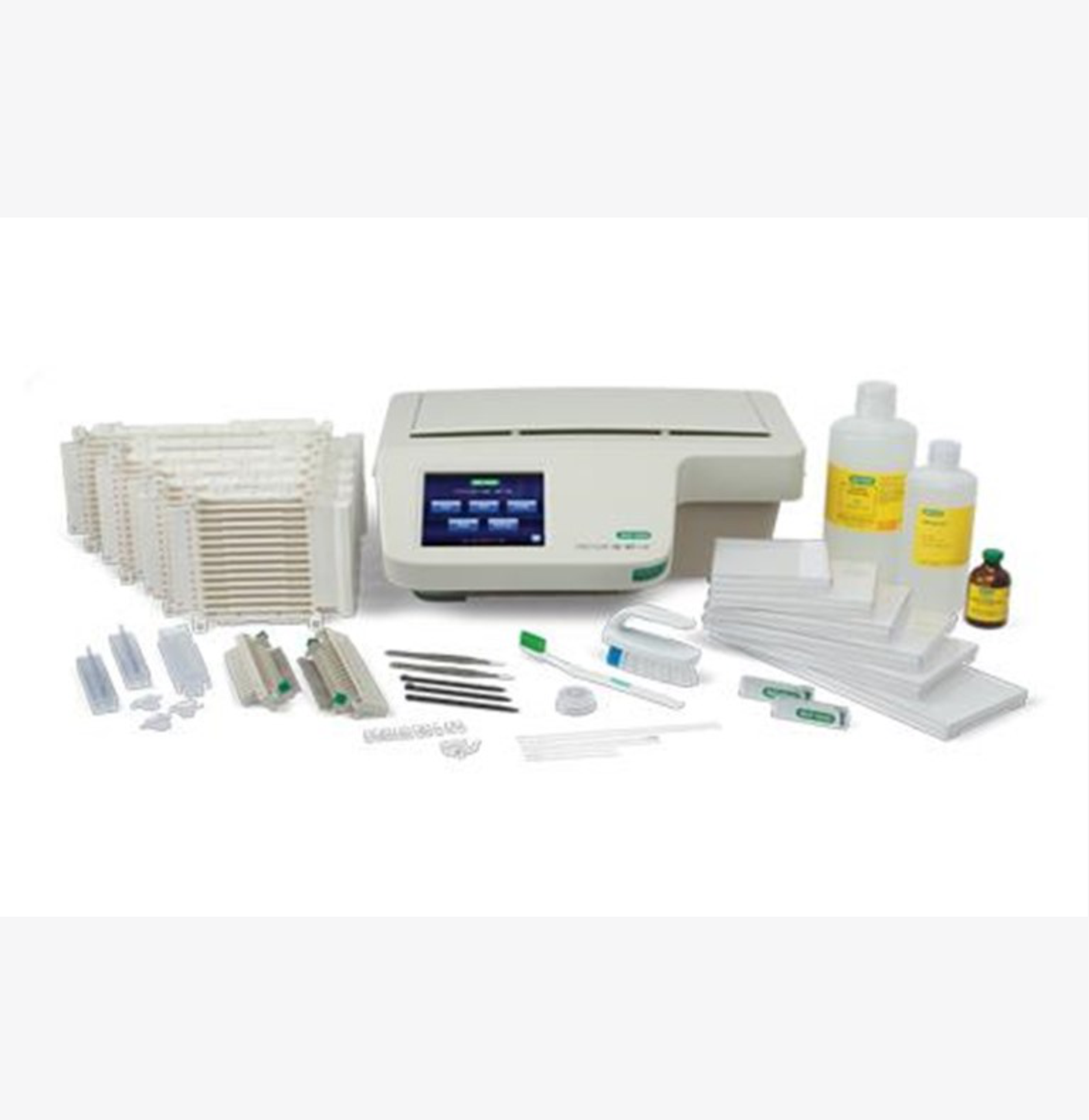 Bio-Rad PROTEAN i12